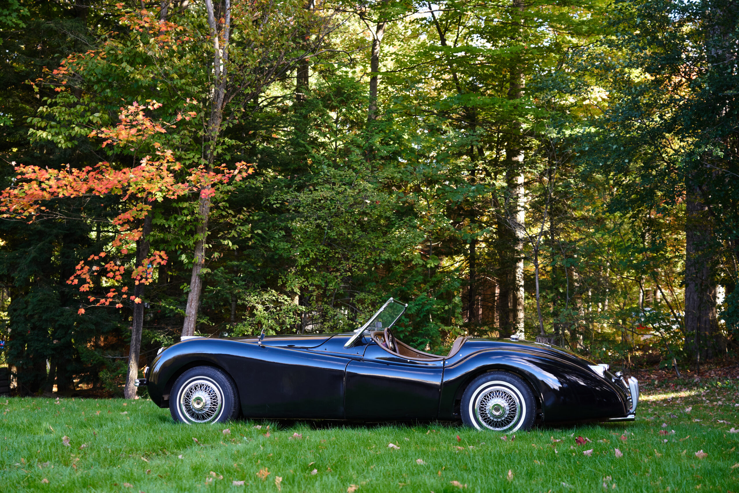 1954 Jaguar XK120