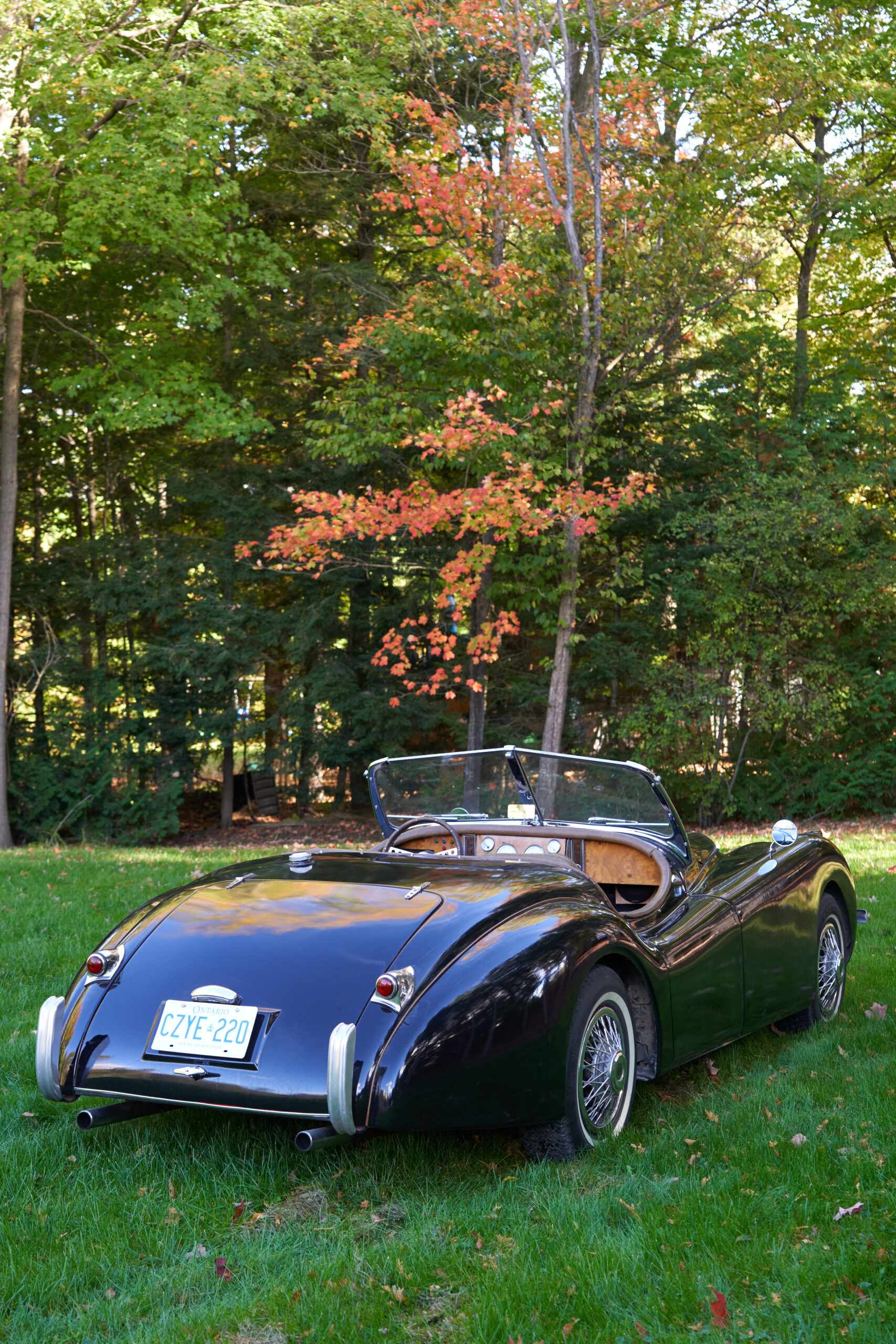 1954 Jaguar XK120