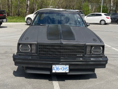 1981 Chevrolet Malibu