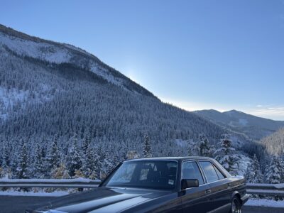 1990 Mercedes-Benz 300 SE