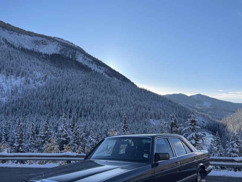 1990 Mercedes-Benz 300 SE